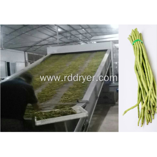 Fruit and vegetable continuous belt drying equipment